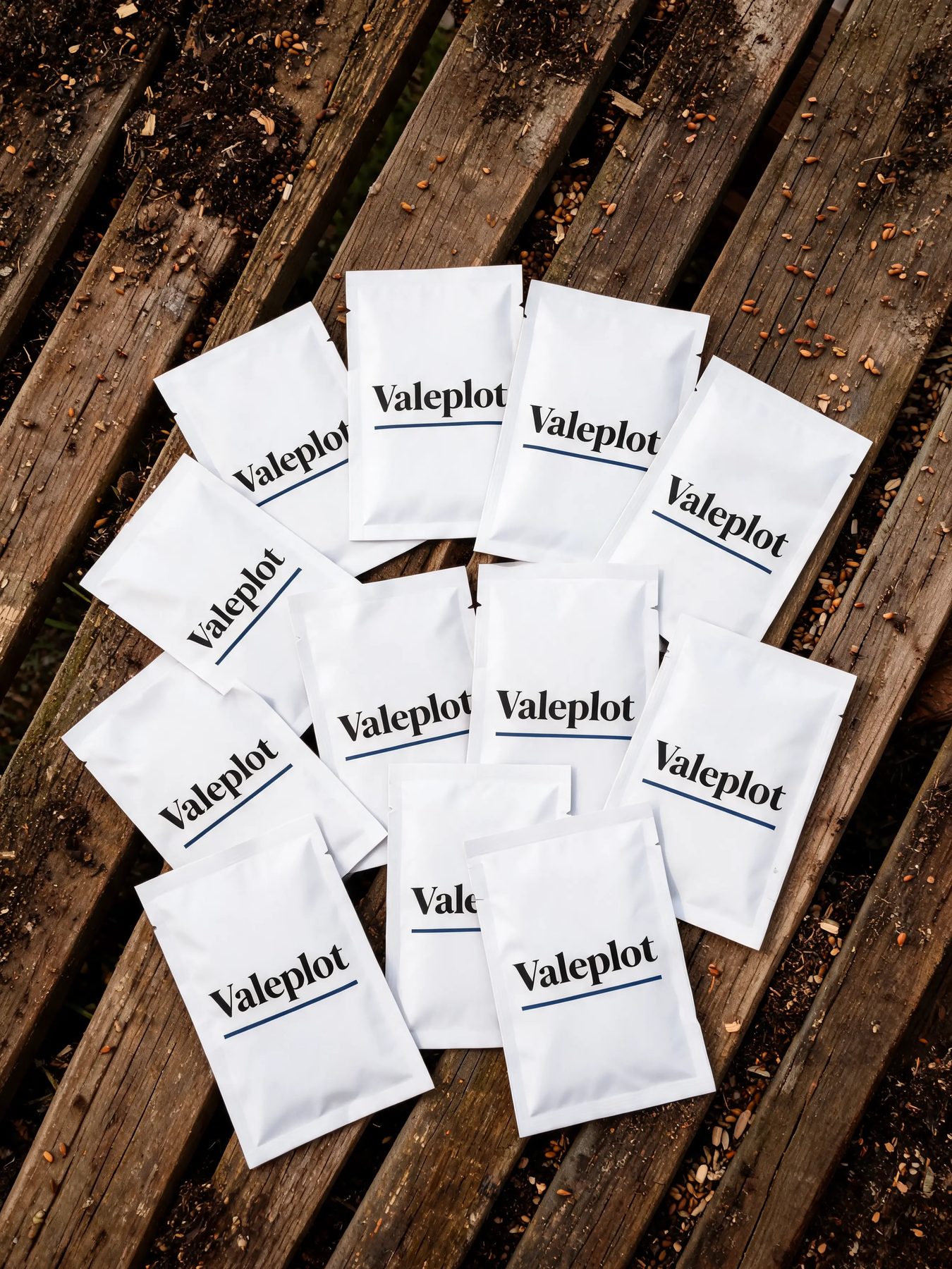 Vegetable Seed Collection